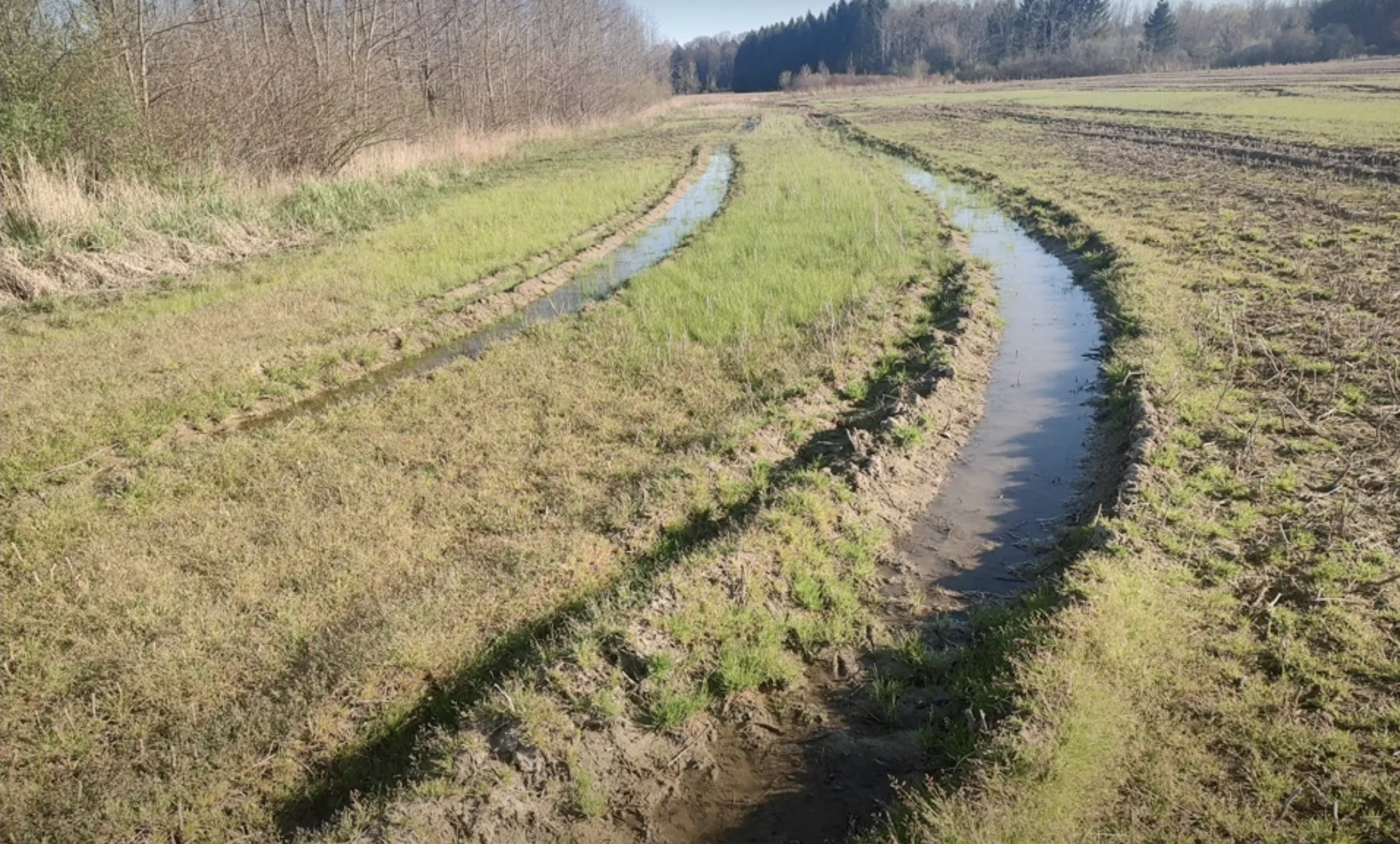 Field photograph showing vehicle ruts filled with water in wetland area indicating saturated soil conditions and potential drainage issues